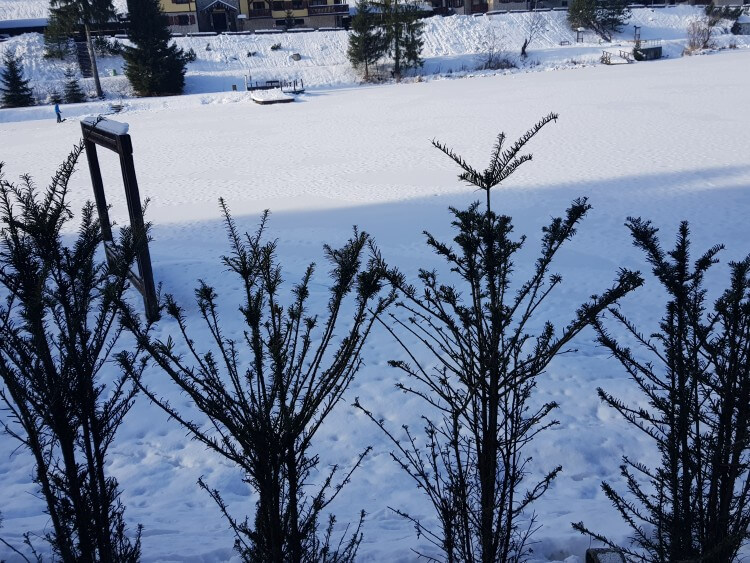 Mimoriadna situácia v súvislosti so snehom zasiahla aj Švošov