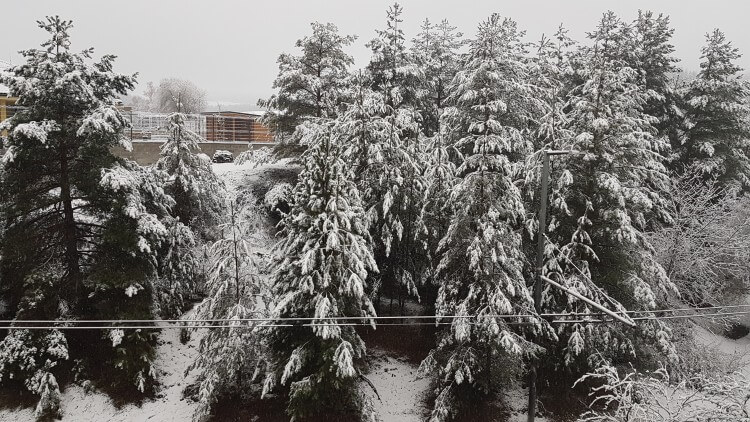 Aké bude počasie na Vianoce? Na severe sa môžu vytvoriť snehové jazyky