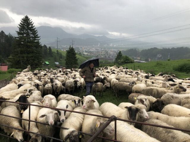 Ako sa žije na ružomberskom salaši