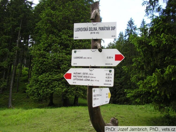 Piati vodiči zaparkovali v treťom stupni ochrany prírody