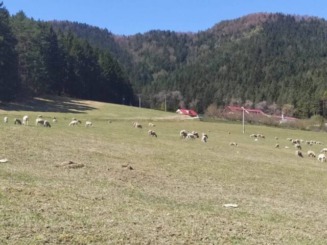 V lokalite pod Gejdákom vznikne obytno-rekreačná zóna