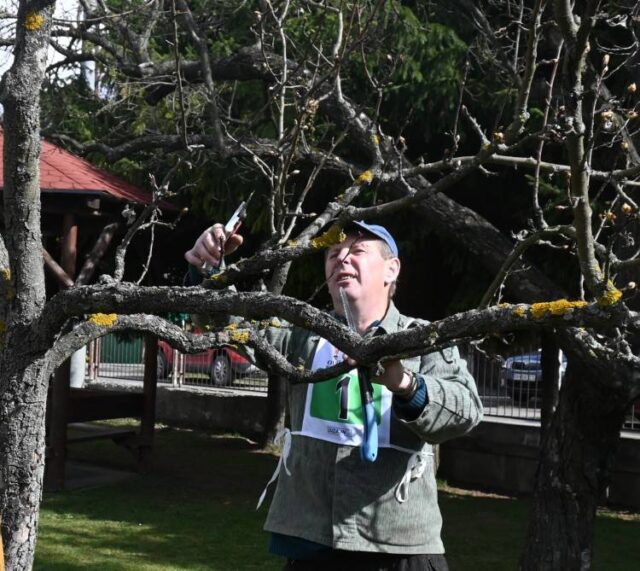 Stromy v školskej záhrade omladli