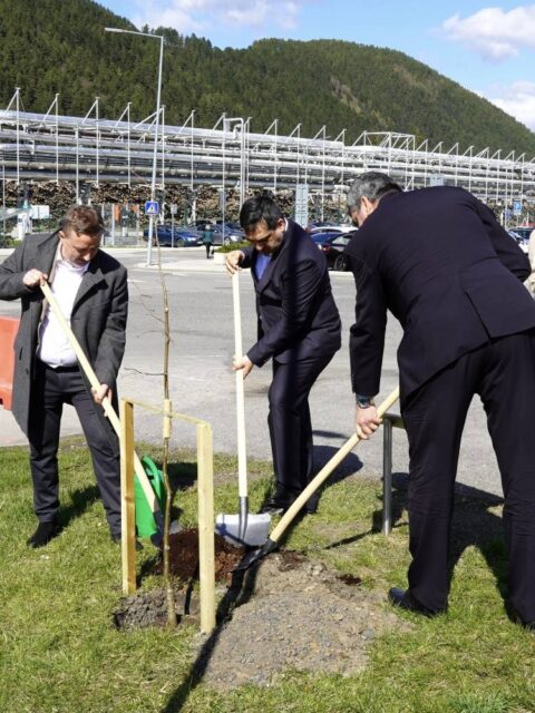 V areáli Mondi SCP vysadili pamätnú lipu