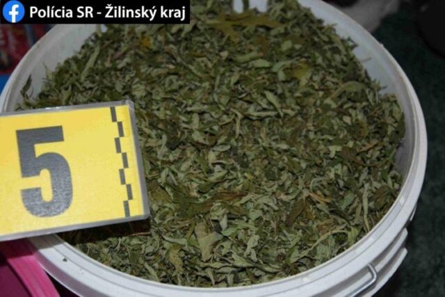 Policajti zaistili takmer štyritisíc dávok marihuany, priekupníkov zadržali