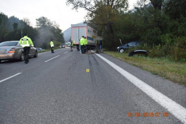 Po zrážke auta s medveďom zahynul spolucestujúci v aute