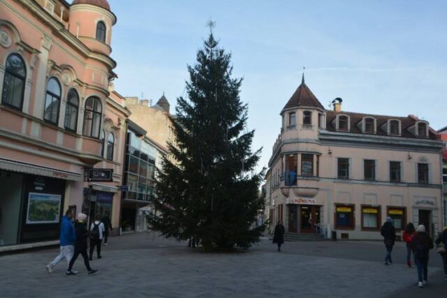 Rozsvietenie vianočného stromčeka