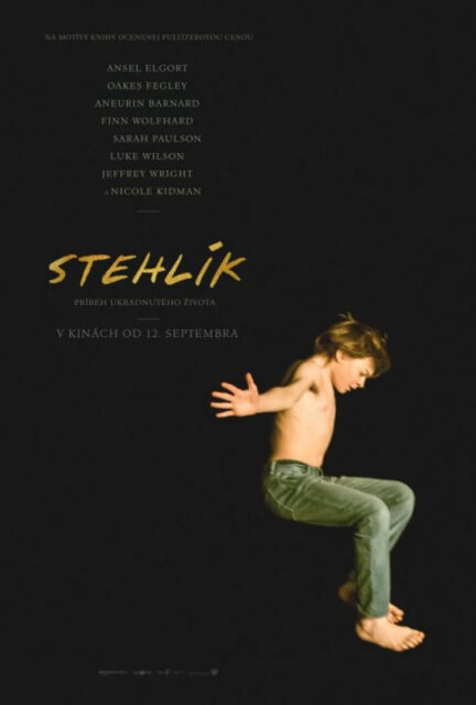 STEHLÍK