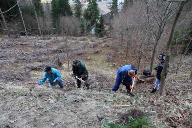 Prídite aj vy s OZ Ružomberčan pomôcť lesu