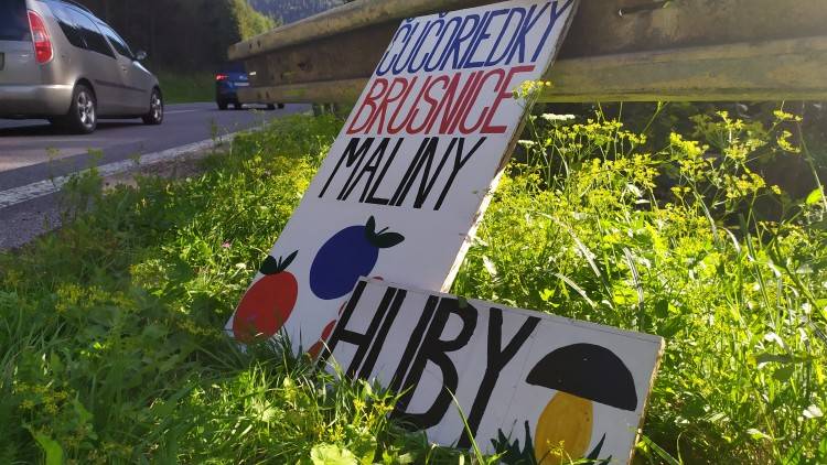 Nelegálny biznis popri cestách. Hygienici upozorňujú na nedodržanie pravidiel