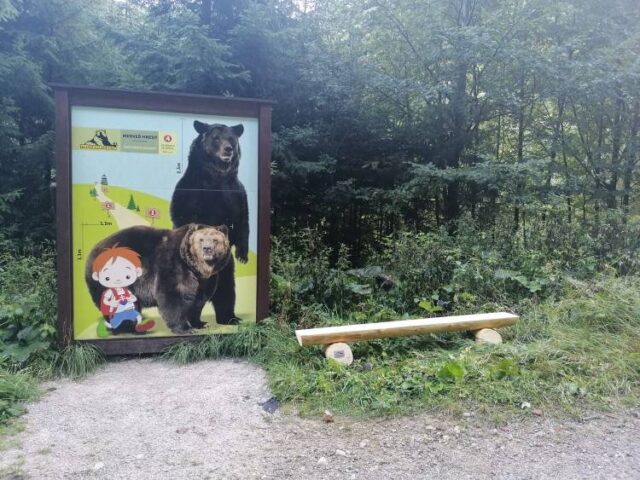 Na turistov čaká v lese prekvapenie