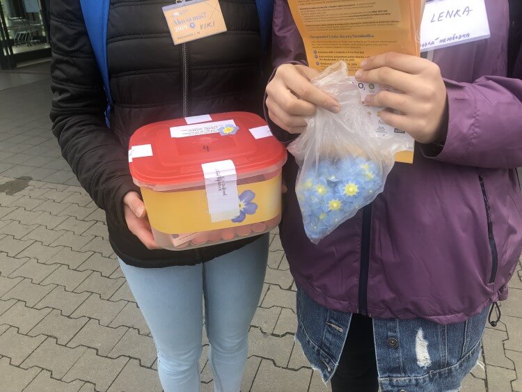 Nezábudky rozkvitli aj v našom meste