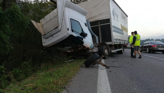 Tragédia pri Ružomberku: Pri zrážke auta s medveďom zahynul muž