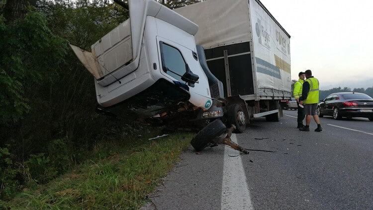 Tragédia pri Ružomberku: Pri zrážke auta s medveďom zahynul muž