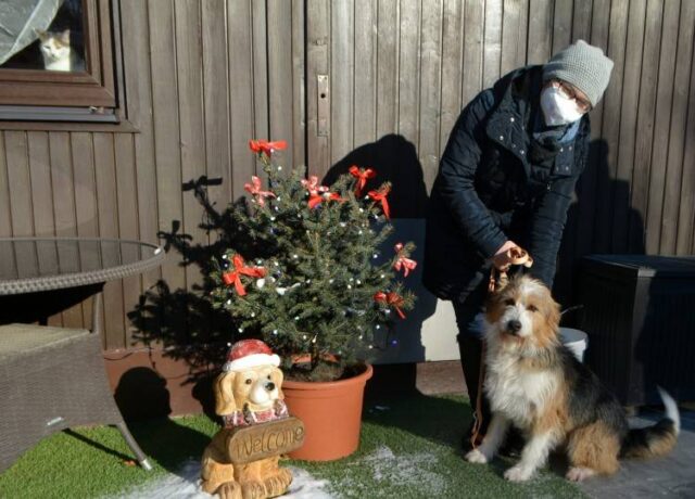 Pes nie je vhodný darček