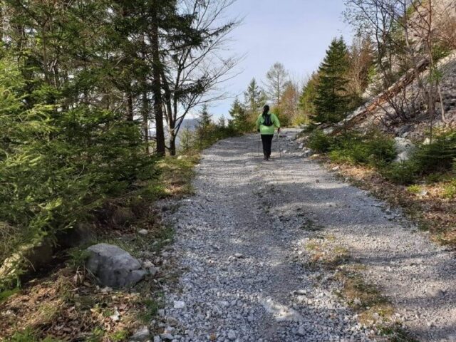 Anežka Neupauerová: Nie každý, kto používa paličky, robí Nordic walking