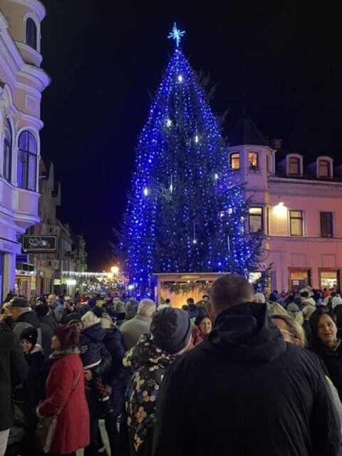 Rozžiarený vianočný stromček