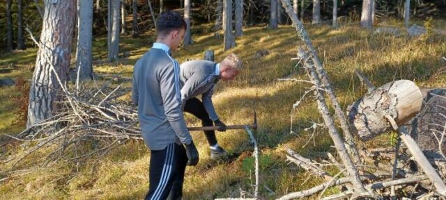 Aj futbalisti vysádzali s Ružomberčanom stromky