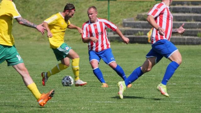 Pohľad na účastníkov regionálnych futbalových súťaží - V. liga