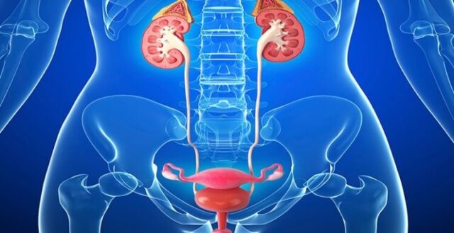 Nový urológ v  ÚVN SNP Ružomberok