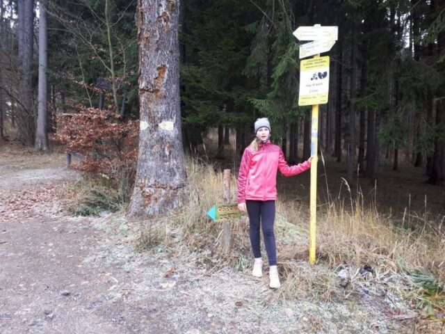 Virtuálny formát zavŕšil RBL 2020