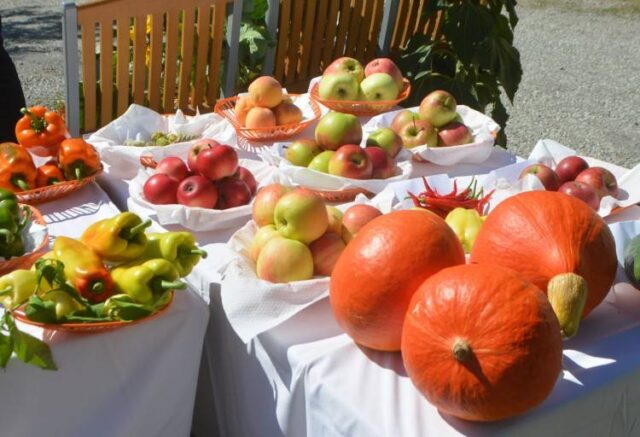 Poďakovanie za úrodu vo Vlkolínci