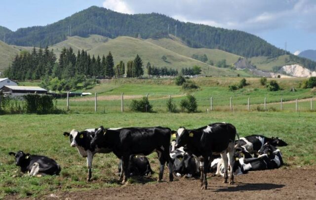 Poľnohospodárov trápi sucho a zver