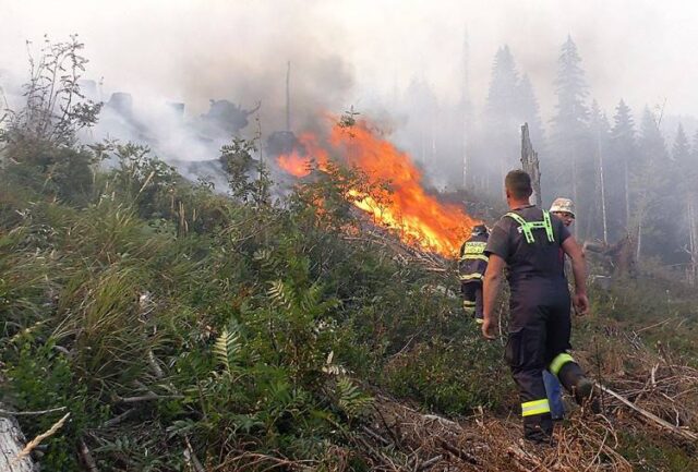 V lesoch nemôžete od včera fajčiť ani zakladať oheň