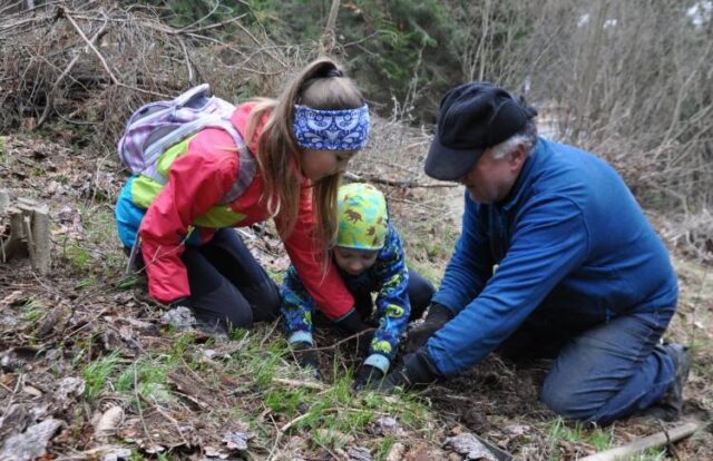 V Hrabove pribudli ďalšie stromčeky