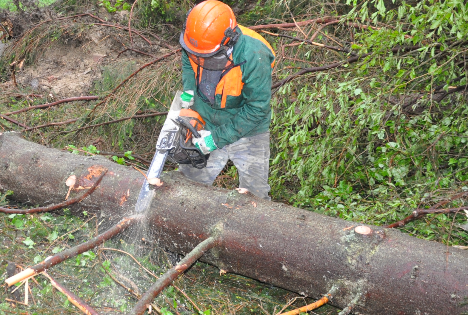 Začína ťažba dreva v Čutkovskej doline
