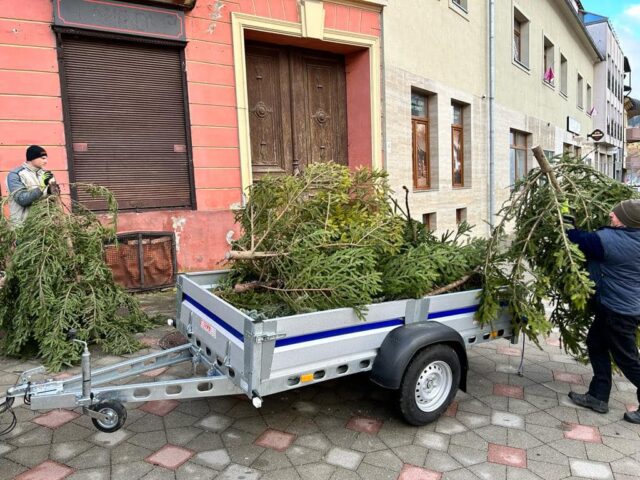 Zbavte sa živých vianočných stromčekov ekologicky