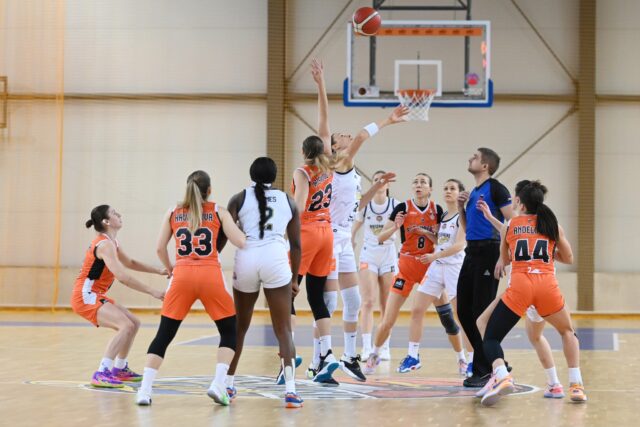 Šláger Čajky - Ruža až 11. februára