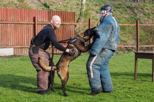 Župní poslanci prideľovali peniaze, mysleli aj na Liptákov