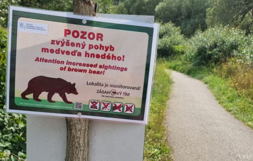 Pozor! Na cyklotrase medzi mestom a Bielym Potokom videli medveďa