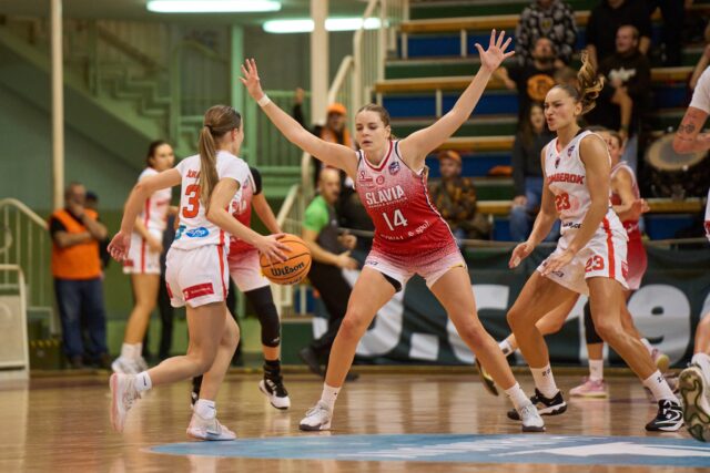 Do Koniarne prídu vicemajstrovské pumy