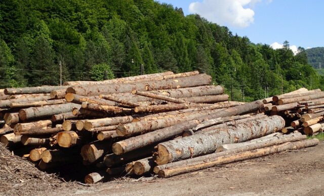 Pri ceste na Vlkolínec dávajte pozor