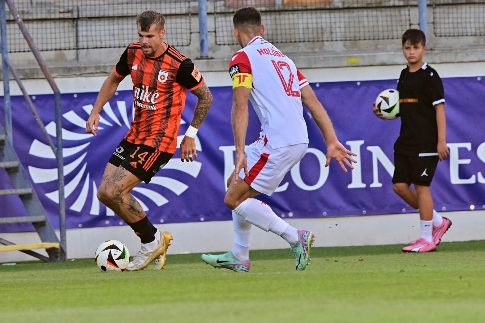 Ruža s bodom z Trenčína