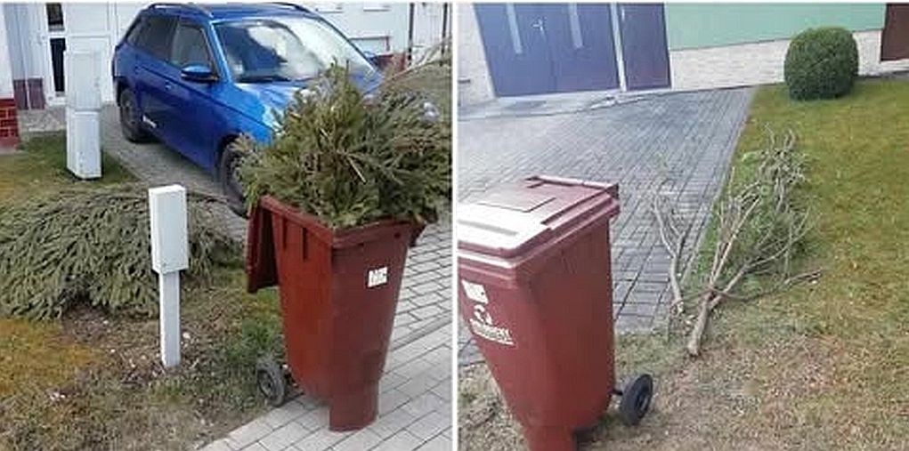 Končí zber biologicky rozložiteľného odpadu