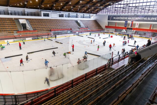 Deti na hokej na úvod nového roka