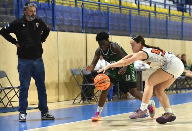 Panisove kočky na domácej scéne stopercentné