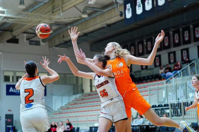 V Koniarni defilé podkošovej mladi