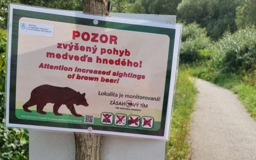 Kvôli medveďovi vyhlásili aj na Liptove mimoriadnu situáciu