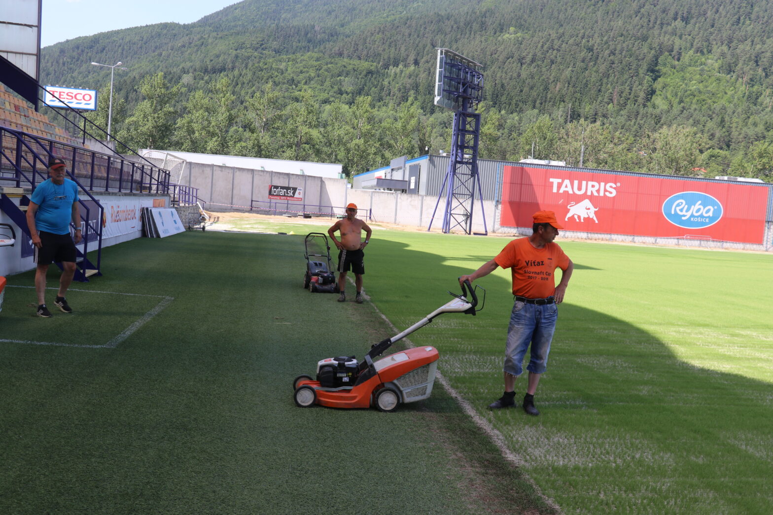 Prvé kosenie po výseve