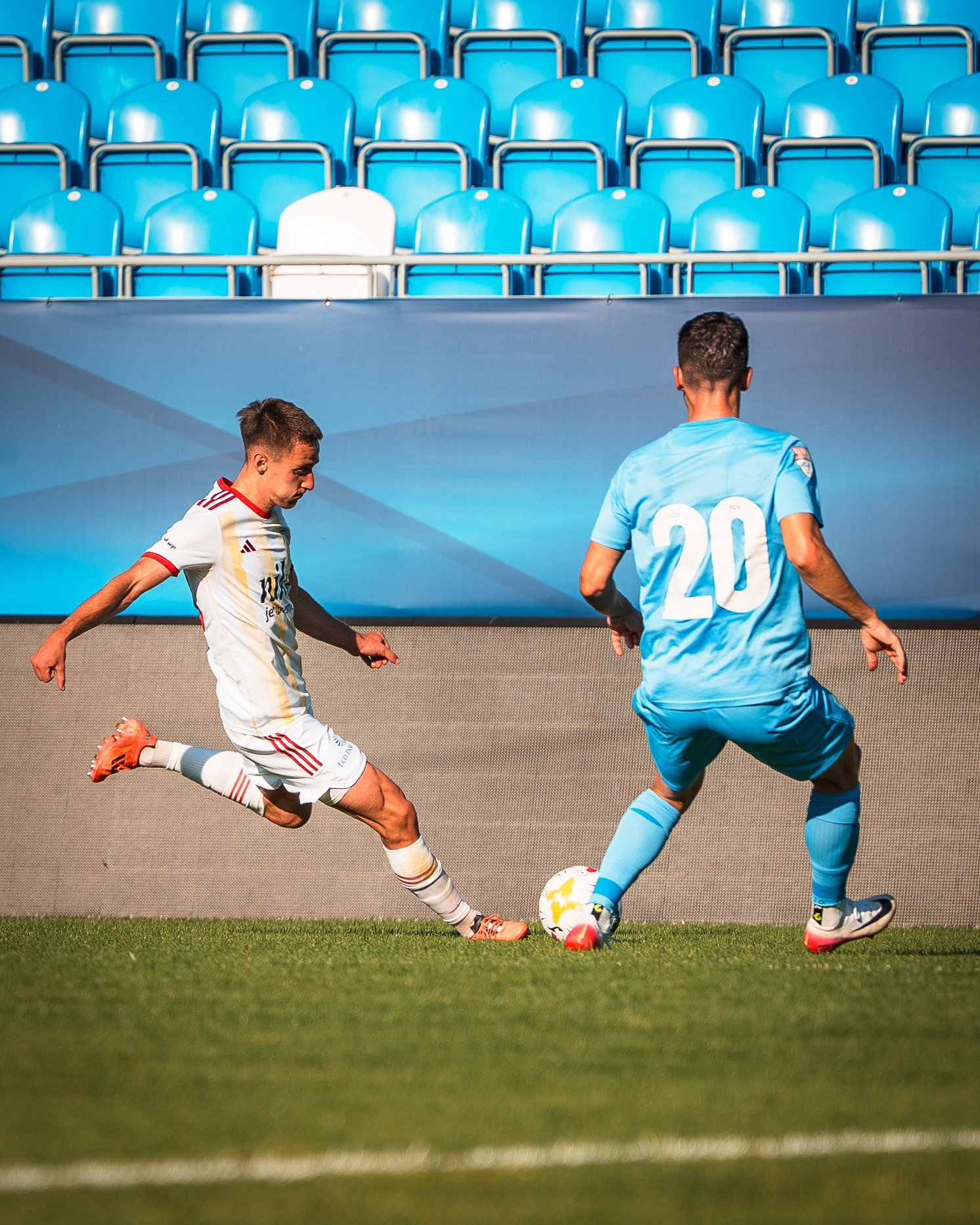 Ruža si poistila A. Seleckého