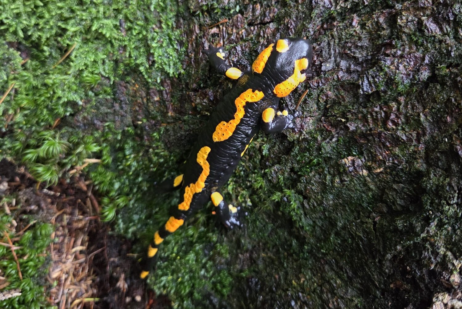 Pri ochrane prírody sa počíta každý, aj malý, krok