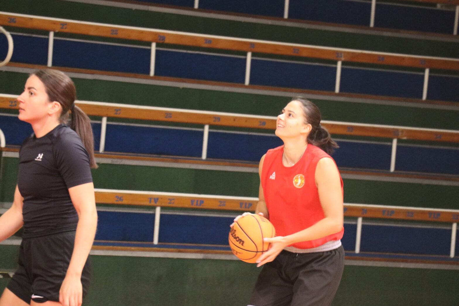 S. Živaljevičová na starej adrese