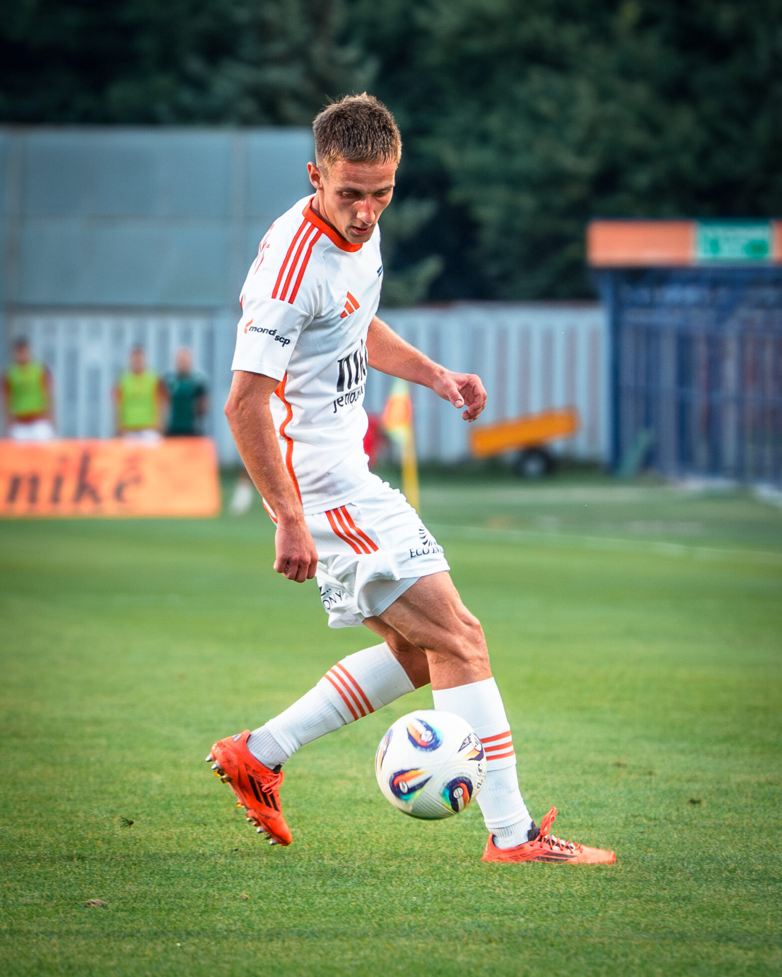 Hovorili sme so stredopoliarom Ruže A. Seleckým