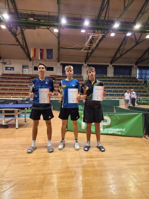 Stolný tenista J. Holubčík bol doma prorokom