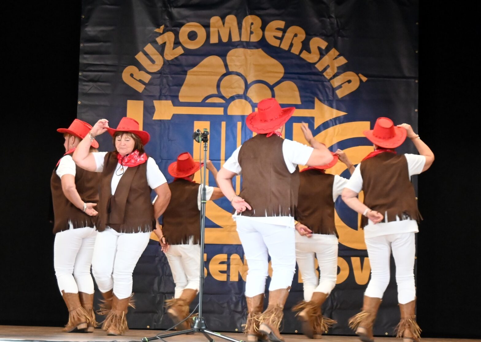 Festival speváckeho a tanečného umenia seniorov