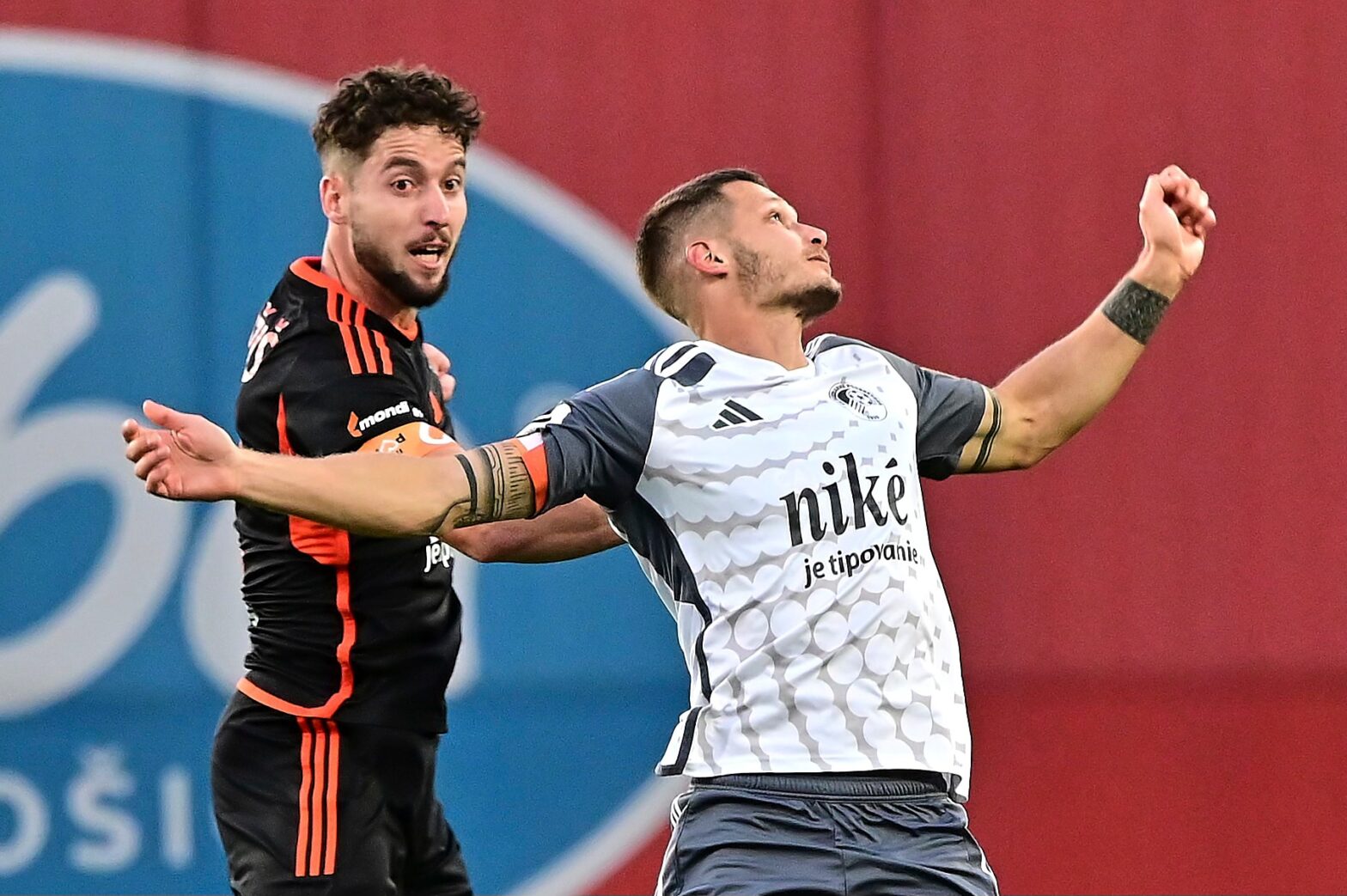 Ruža s Mojžišom môže dlhšie rátať