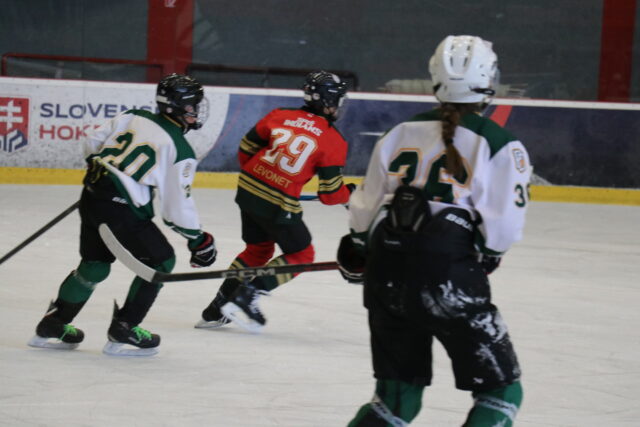 Hokejový Red Rose Cup pre Záhorákov